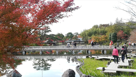 Showa Memorial Park