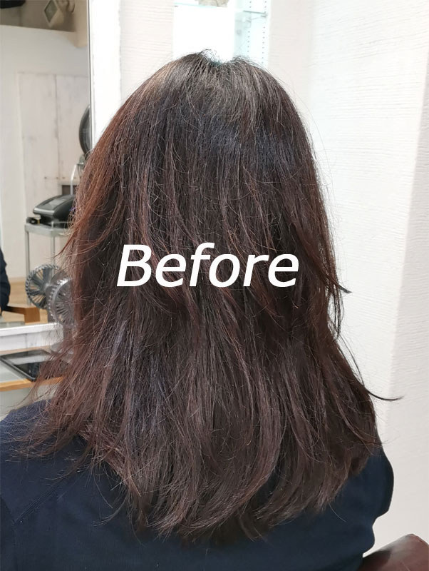 世界へ展開する美容室/東京恵比寿大人の美容院Ref hair髪質改善トリートメントbefore-1