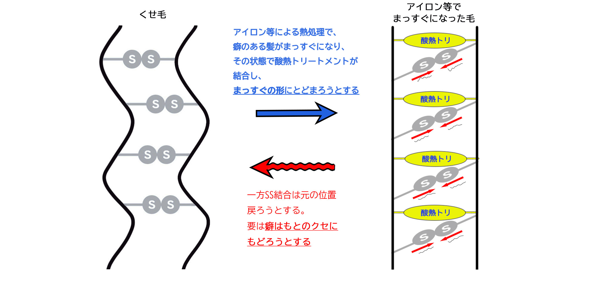 酸熱トリートメントでクセやウネリを改善する仕組み