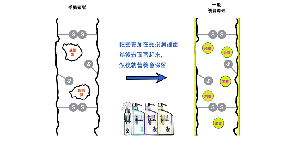 通常在美髮店的「結構式護髮」修護頭髮的原理