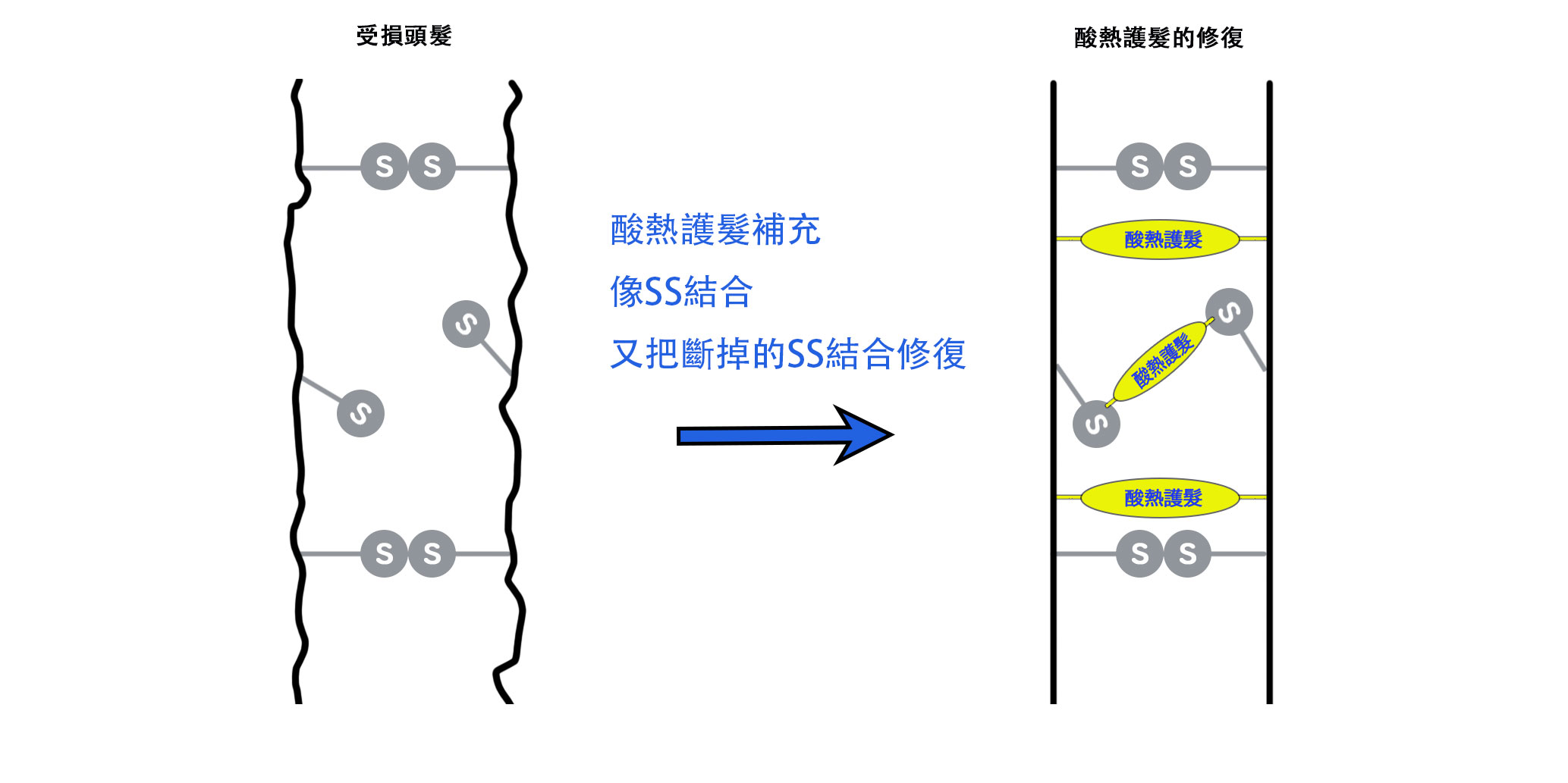 酸熱護髮修護頭髮的原理的圖